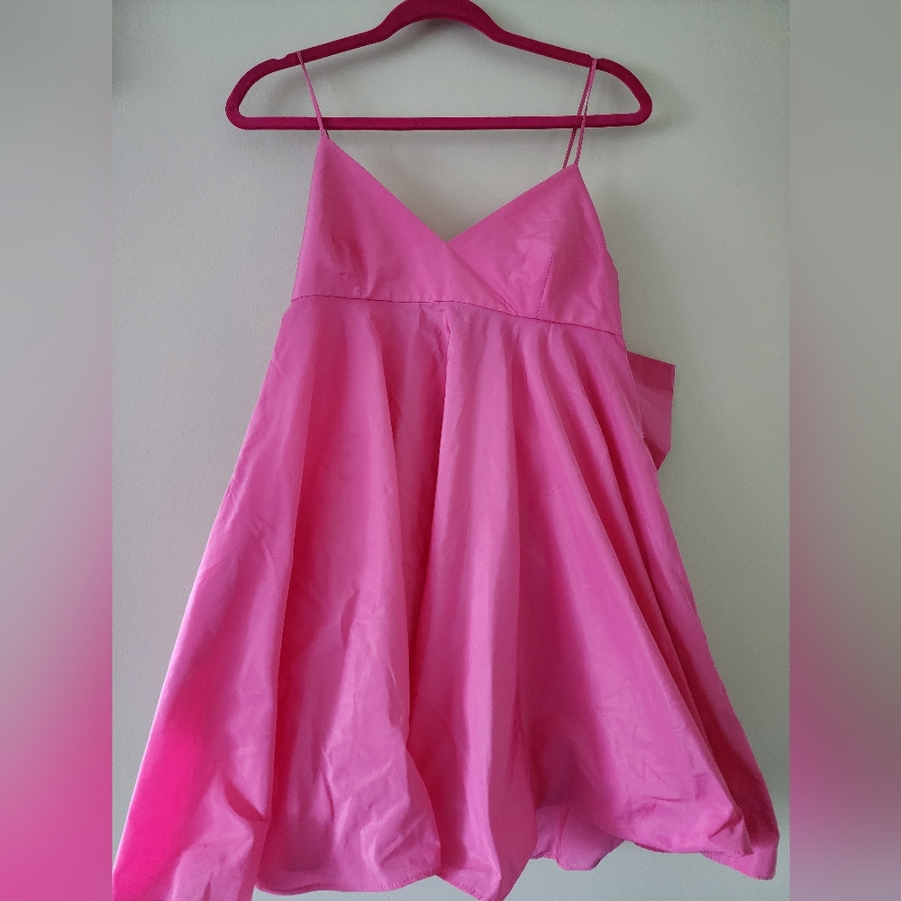 NWT Zara Pink Bow Dress